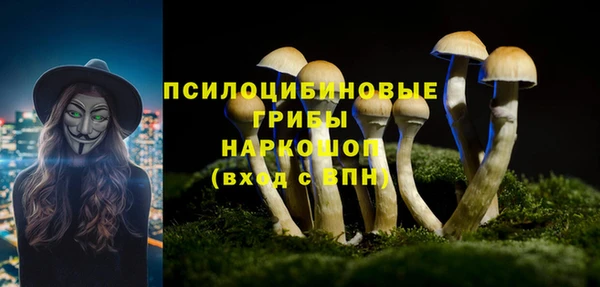 синтетический гашиш Дмитриев