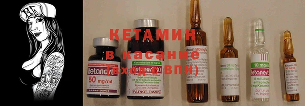 гашик Дмитров