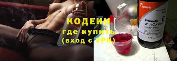 гашик Дмитров