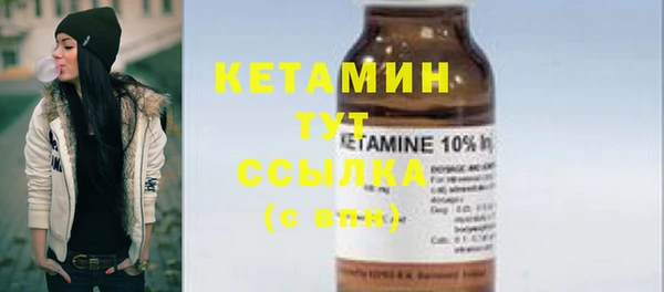 гашик Дмитров