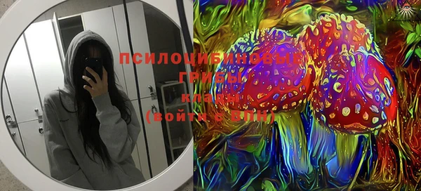 гашик Дмитров