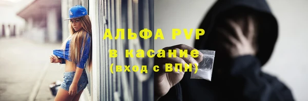 гашик Дмитров