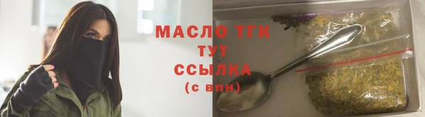 гашик Дмитров