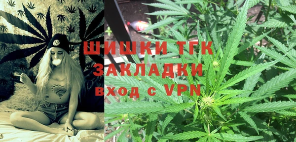 гашик Дмитров
