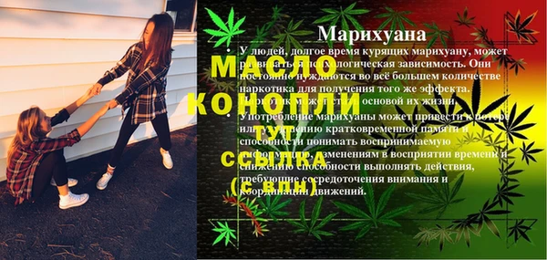 гашик Дмитров