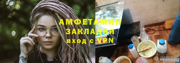 гашик Дмитров