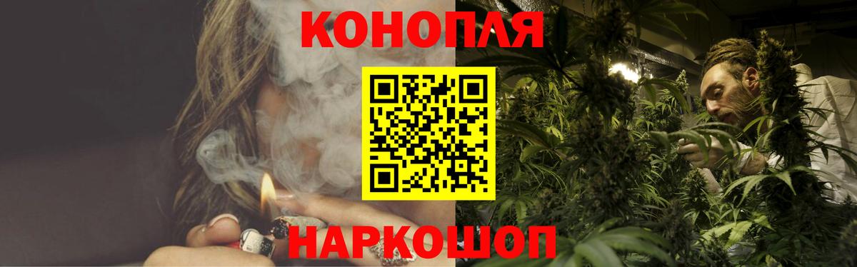 Конопля сатива Кизилюрт